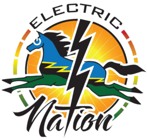 [Logo courtesy of Electric Nation]